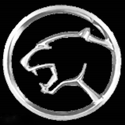 MERCURY COUGAR LS 2 Thunder Bird Manufactured