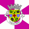 Bandeira do concelho do Cartaxo