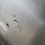 A fábrica teria sido instituída em 1850 (pelo menos, assim o indicava um dos painéis de azulejos colocados à entrada da fábrica, e que foi visível até meados da década de 1990), por Manuel Joaquim Afonso; contudo esta data não se apresenta como consensual, pois parece só ter começado a laborar em 1856. Nos anos em que esteve à frente da fábrica, Manuel Joaquim Afonso teve que fazer face a diversos problemas financeiros, pelo que entre 1861 e 1863 a fábrica acabou por ser vendida a um inglês, John Stott Howorth, que introduziu novas técnicas de produção oriundas do Reino Unido. Em poucos anos, a Fábrica da Loiça tornava-se numa das mais importantes em Portugal no ramo da produção cerâmica, destacado-se pela produção de faiança fina baseada no caulino (uma argila com alto grau de pureza); o sucesso alcançado é tal que o rei D. Luís I confere a Howorth título nobiliárquico (Barão de Howorth de Sacavém), e ainda o privilégio de a fábrica se poder intitular Real Fábrica de Loiça de Sacavém. Para além disso, nos últimos anos da sua vida, o rei-consorte D. Fernando II executou e pintou várias peças cerâmicas na Fábrica, dada grande amizade que o unia ao Barão de Sacavém. À data da sua morte, em 1893, já a louça de Sacavém se achava fortemente implantada no mercado, rivalizando por exemplo com a Vista Alegre, de Ílhavo; no ano seguinte a baronesa Howorth de Sacavém estabeleceu uma sociedade em comandita com o antigo guarda-livros da fábrica, James Gilman, a qual assegurará a administração da mesma até à morte da Baronesa, em 1909, altura em que Gilman assume sozinho o governo da empresa. Mantém-se a aposta na ligação estratégica ao mercado inglês, tanto ao nível da exportação do produto final, como da aquisição de novas tecnologias para a fábrica – em 1912, por exemplo, é inaugurado um forno-túnel com 8 metros de altura e 85 metros de comprimento, obra de dimensões colossais, e onde pela primeira vez se utilizou betão armado em Portugal. A Fábrica de Loiça tornou-se numa das principais unidades fabris da cintura industrial da zona oriental de Lisboa (compreendida entre o Beato e Vila Franca de Xira), e o seu sucesso foi tal que conduziu ao aumento vertiginoso da população de Sacavém (que, por alturas da fundação da fábrica, teria pouco mais de 350 habitantes, tendo, porém, a partir de então aumentado a população da freguesia de uma forma constante e sustentada), sendo que em 1890, mais de metade dos quase 1890 habitantes da povoação tinham o seu emprego na Fábrica de Loiça. Muitos dos que aí trabalhavam eram oriundos de várias partes do País, que se deslocavam para a capital e zonas suburbanas na busca de melhores condições de vida. Dessa forma, numa povoação fortemente terciarizada, não é de estranhar que a maior parte dos habitantes fossem adeptos de doutrinas como o socialismo e o republicanismo, tendo-se desenvolvido fortemente o associativismo (é pelas mãos dos operários que nascem, por exemplo, a Cooperativa de Crédito e Consumo «A Sacavenense», no dia 31 de Janeiro de 1900, na comemoração dos nove anos da fracassada intentona republicana na cidade do Porto). Após o 5 de Outubro de 1910, e com o reconhecimento do direito à greve pelo Governo Provisório da República Portuguesa, sucedem-se as paralisações, tendo vários operários participado, por exemplo, nas greves de 1912, que forçaram o governo à detenção de algumas centenas de grevistas em vários fortes da cintura da capital, entre os quais o Forte de Sacavém. Nesse mesmo ano, formara-se o sindicato dos operários cerâmicos, havendo muitos filiados em Sacavém. Não obstante, talvez pela sua gerência inglesa, a Fábrica de Loiça de Sacavém foi pioneira em certas medidas que denotam a existência de preocupações sociais da parte do patronato: a criação de uma escola dentro da fábrica, a existência de um caixa de socorros mútuos para os seus trabalhadores, o direito a férias remuneradas, e a instituição de campos de férias para os filhos dos trabalhadores da fábrica. Nas primeiras décadas do século XX, o pintor Jorge Colaço executou na fábrica os azulejos para diversas das suas mais significativas obras: a Estação de São Bento, no Porto (1903), o Palace-Hotel do Buçaco, no Luso (1907), o Pavilhão dos Desportos, em Lisboa (1922), ou a Casa do Alentejo, também na capital. Em 1921, com a morte de James Gilman, sucede-lhe à frente da fábrica o seu filho Raul Gilman, tendo como sócio um outro inglês, Herbert Gilbert.