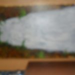 SAM_9537