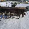 YANMAR model RS1000A (3)