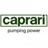 logo-caprari1 – Cópia