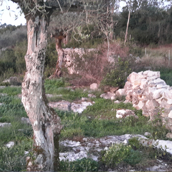 mira de aire-5